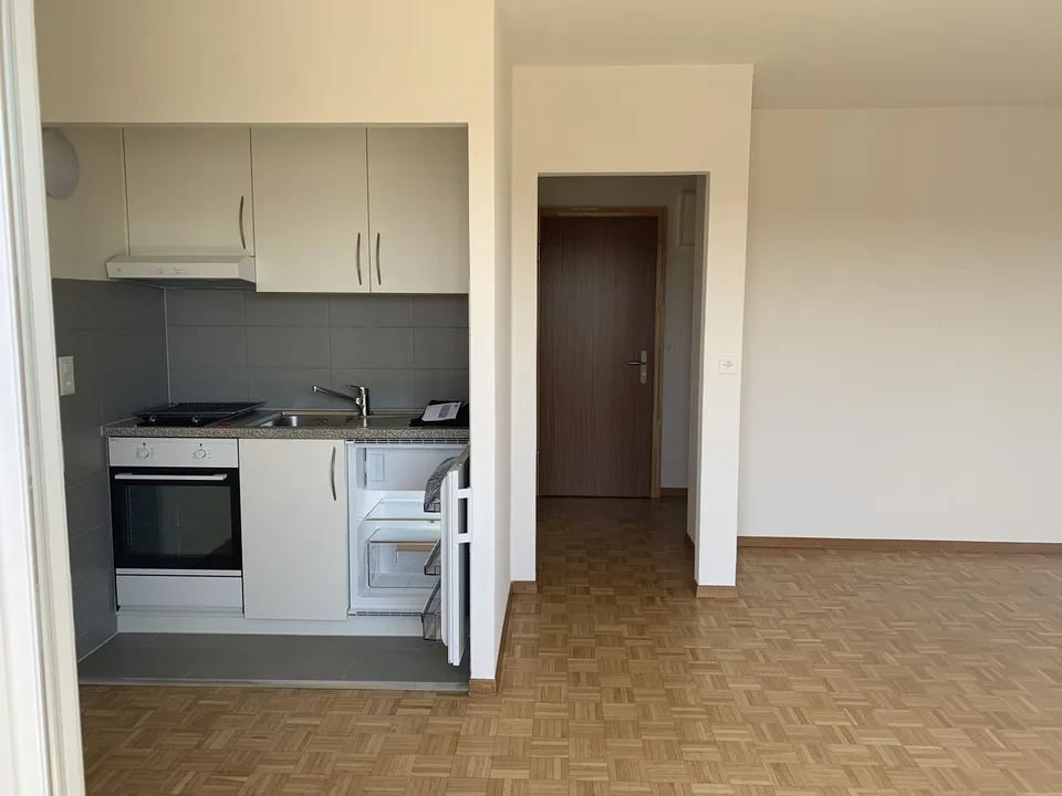 Beautiful renovated studio for rent in Coppet, ideally located