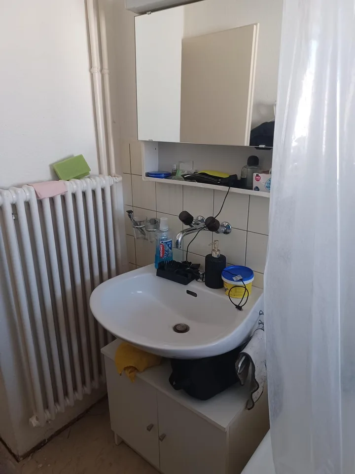 Frisch renovierte 1 1/2-Zimmerwohnung zu vermieten