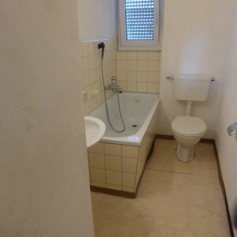 Frisch renovierte 1 1/2-Zimmerwohnung zu vermieten