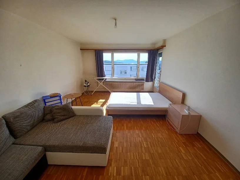 Frisch renovierte 1 1/2-Zimmerwohnung zu vermieten