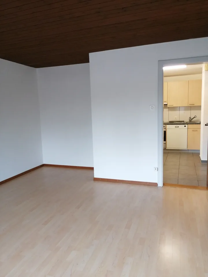 Appartement spacieux et lumineux de 2,5 pièces à louer
