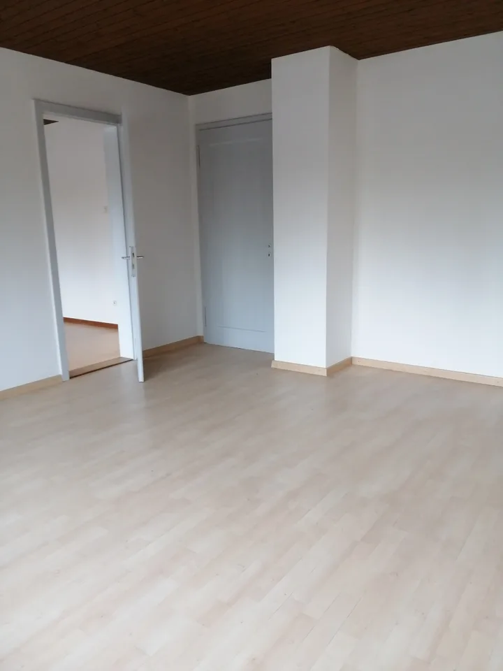 Appartement spacieux et lumineux de 2,5 pièces à louer