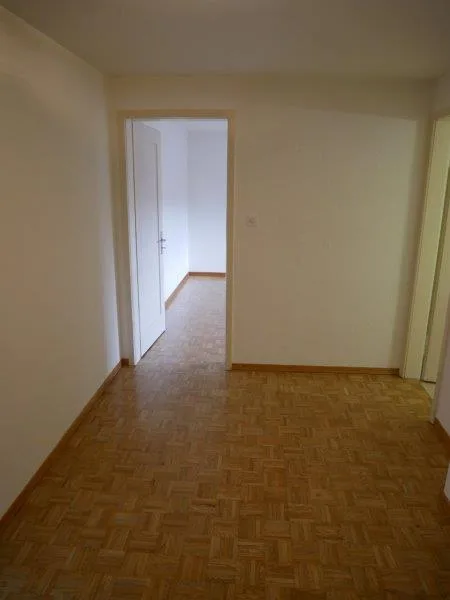 Bello appartamento di 3.5 camere in affitto