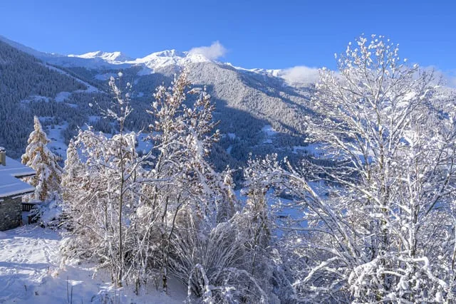 Chalet de 4.5 pièces à louer à Sarreyer, Valais