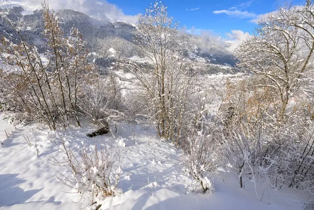 Chalet de 4.5 pièces à louer à Sarreyer, Valais