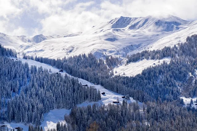 Chalet de 4.5 pièces à louer à Sarreyer, Valais