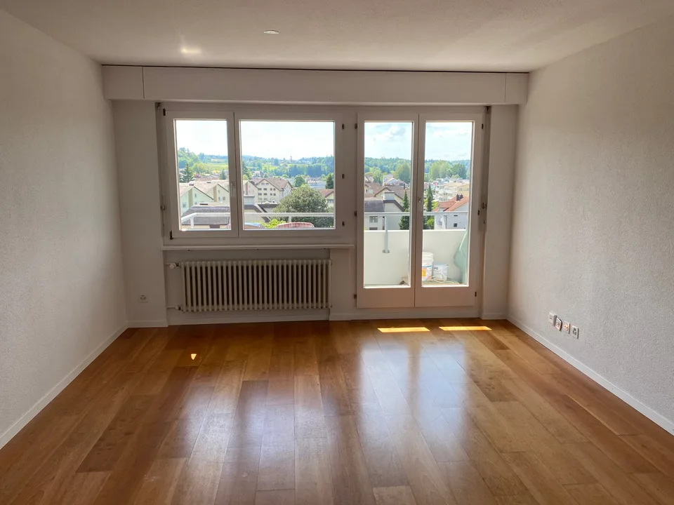 *beau 1 1/2 pièces avec balcon et belle vue*