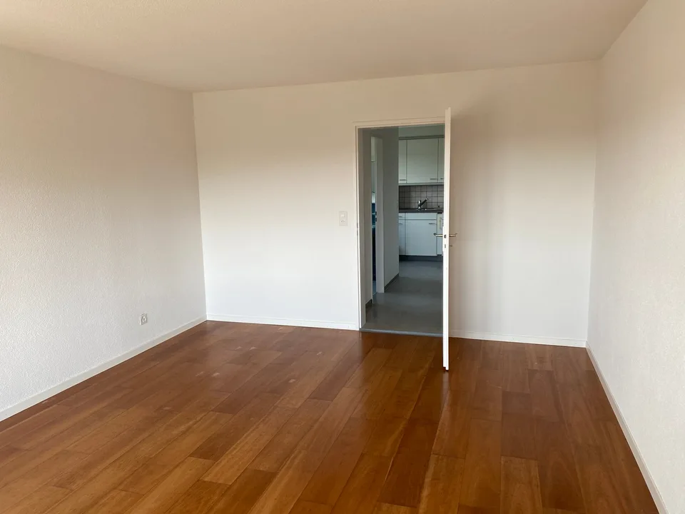 *beau 1 1/2 pièces avec balcon et belle vue*