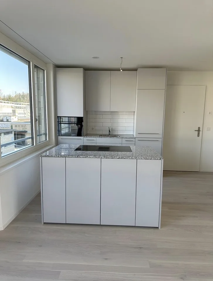 Family apartment in the lively "ZHIL Manegg" property