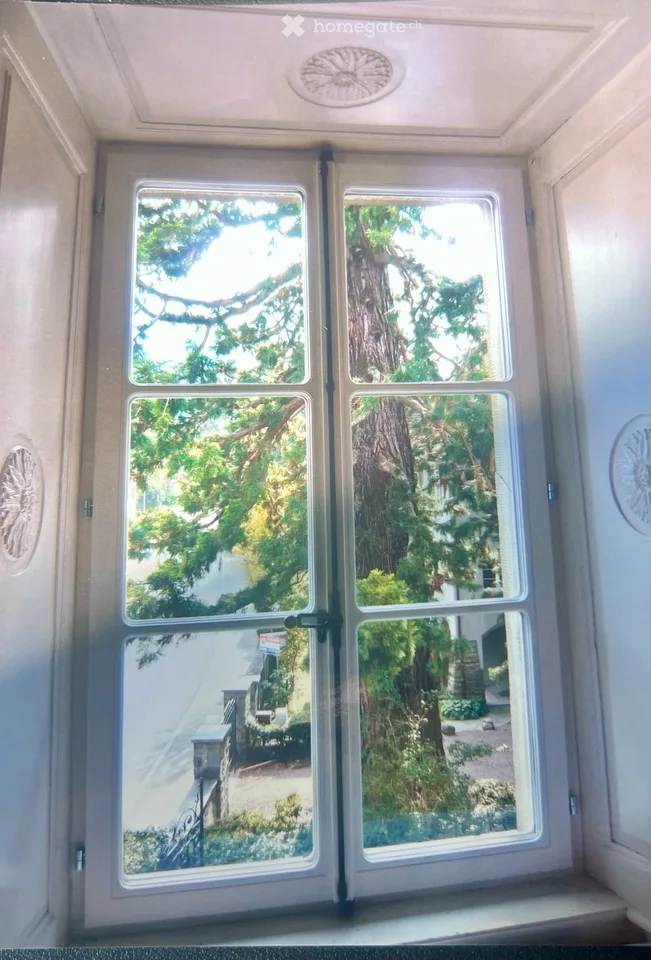 Appartement exclusif de 6,5 pièces avec charme historique à Altdorf UR