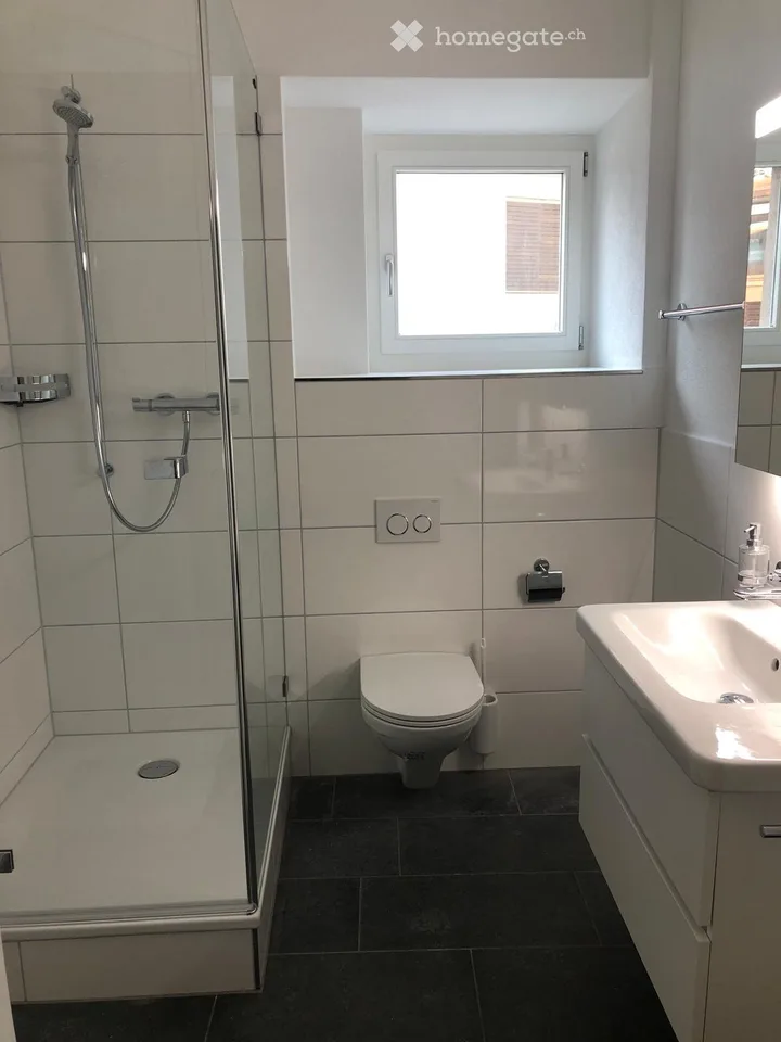 Appartement exclusif de 6,5 pièces avec charme historique à Altdorf UR