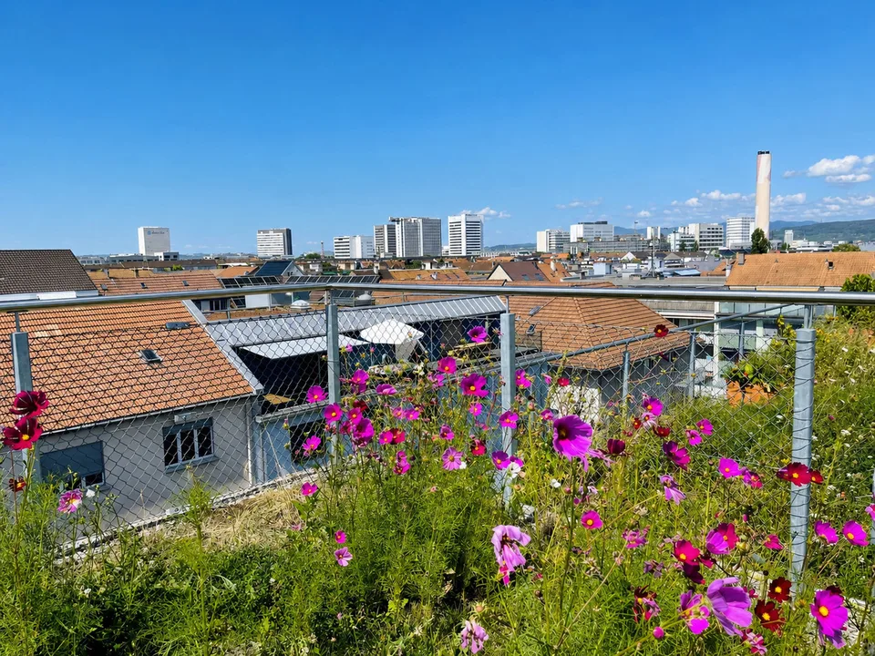 Lichtdurchflutetes Wohnen mit Dachgarten und beeindruckendem Weitblick