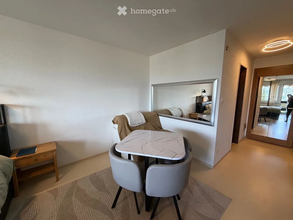 Modern studio with panoramic views of the mountains in Haute-Nendaz