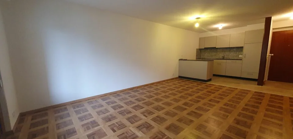 RENOVE - spacieux 3.5 pces avec place de parc dans un quartier tranquille