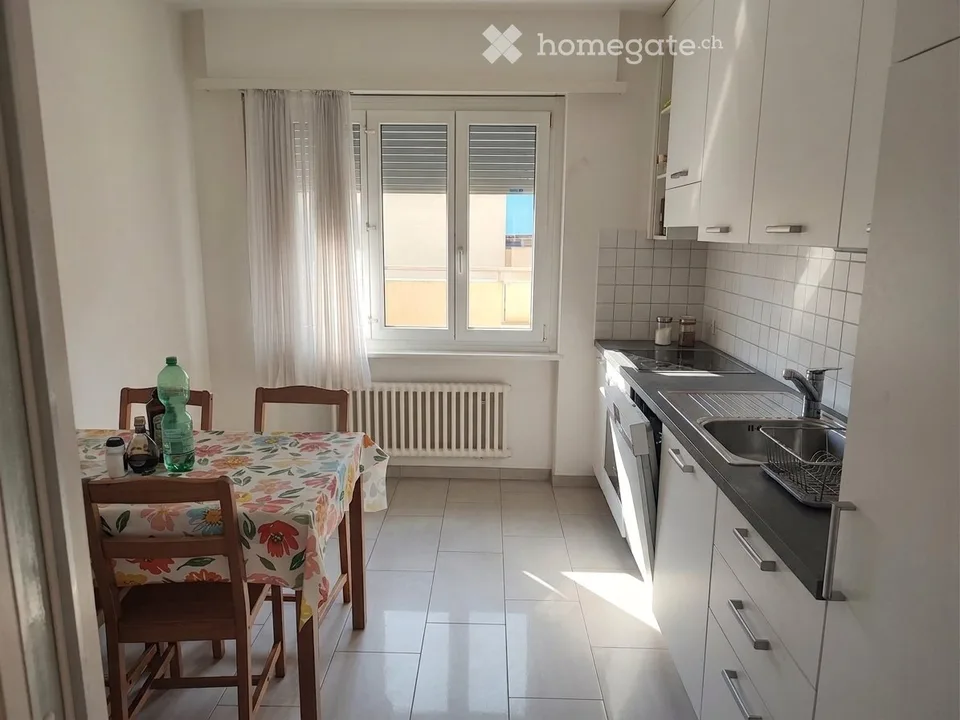 Appartamento all'inizio di Pregassona