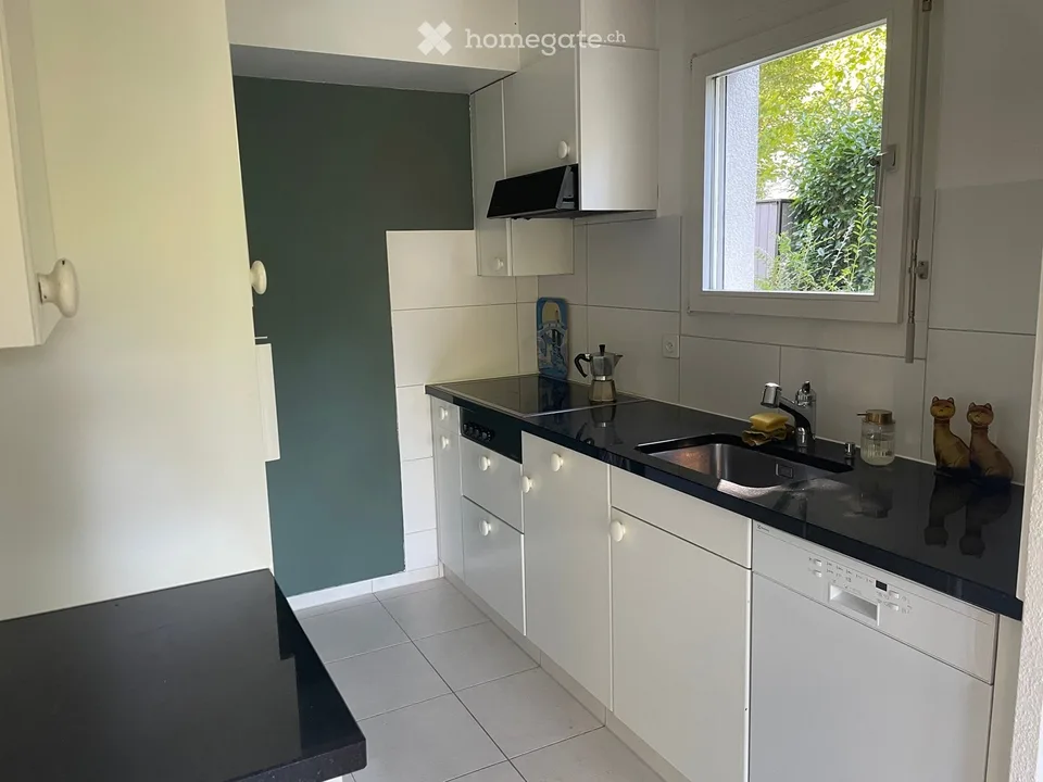 2415CHF/Mese: Camino, Vasca da bagno, Giardino a Küsnacht