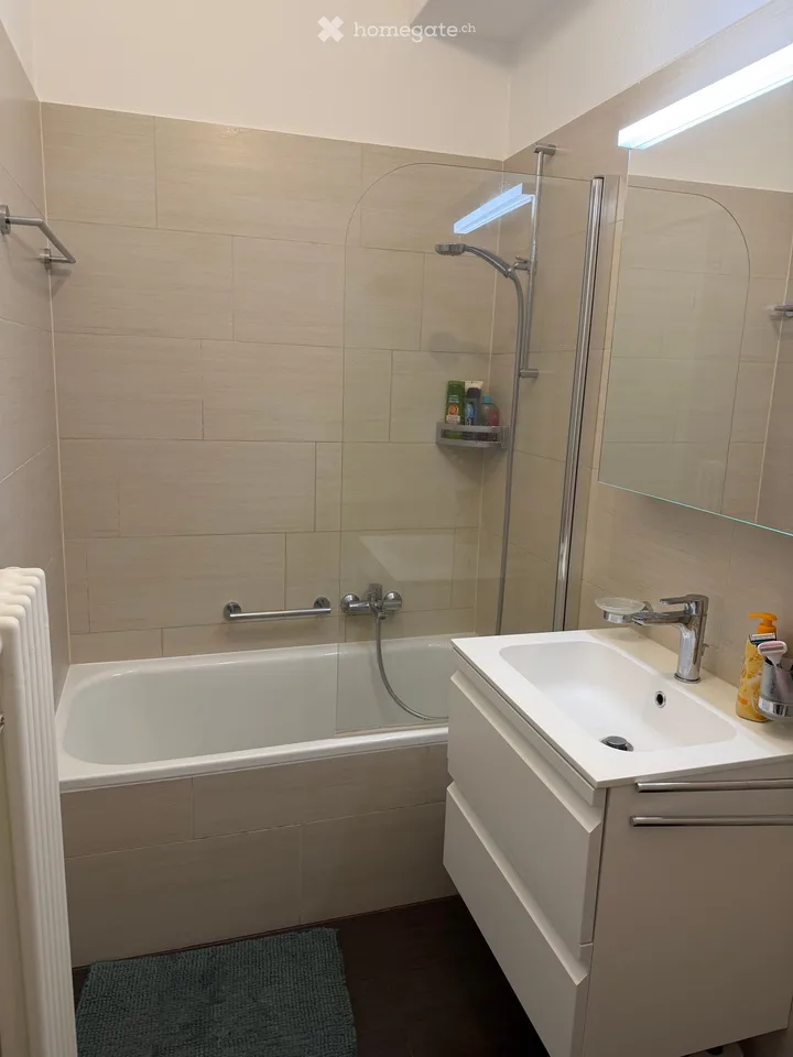 Wohnung mit 2.5 Zimmern und Balkon möbliert