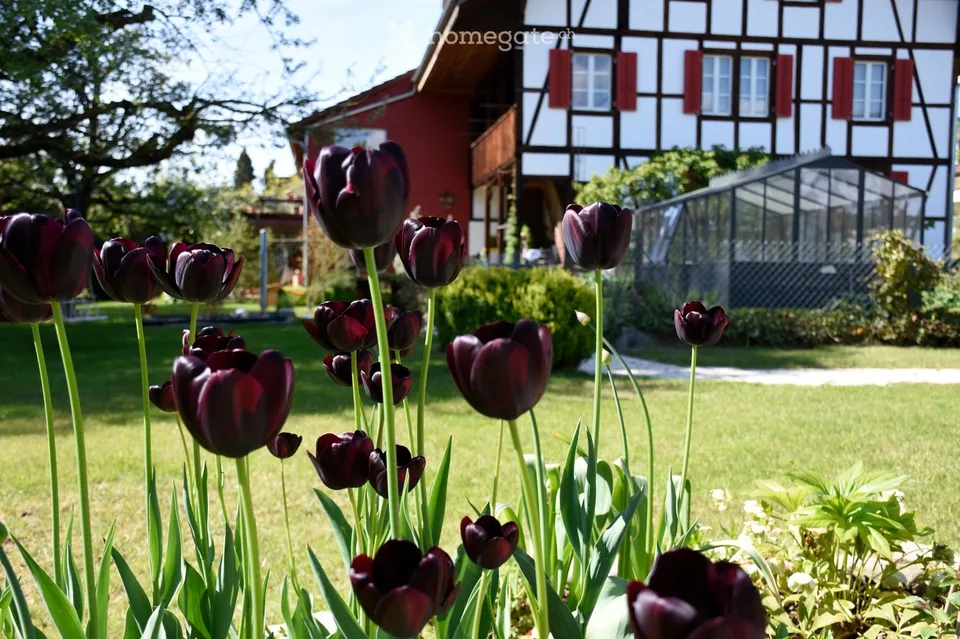 Wohnen wie im Einfamilienhaus - Platz, Charme und Komfort