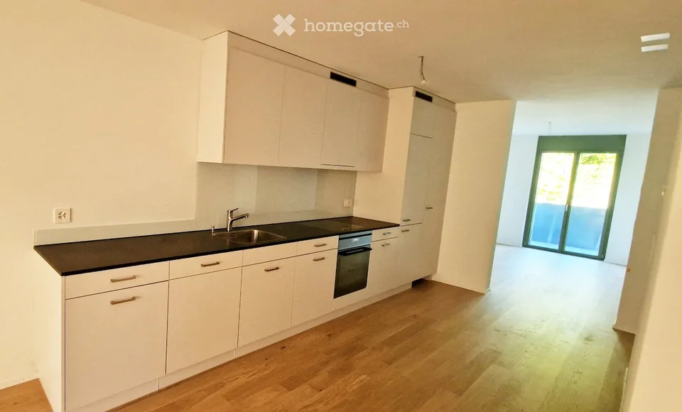 3.5Zimmer, Neubau, Erstvermietung