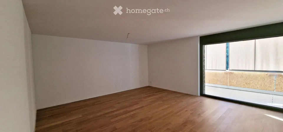 3.5Zimmer, Neubau, Erstvermietung