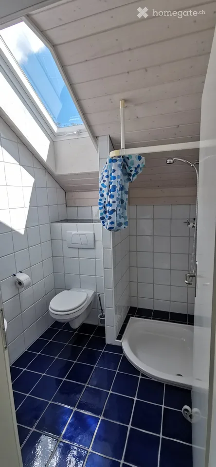 Grand appartement lumineux de 3,5 pièces à partir du 1er nov