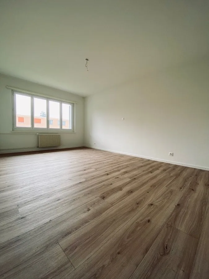 3.5-Zimmer Wohnung