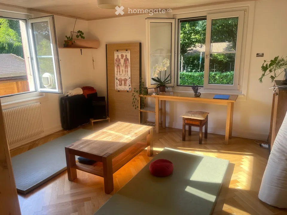 Colocation Bulle avec japonais.e