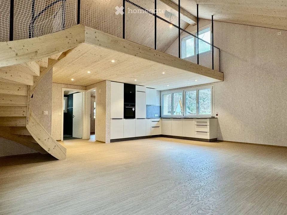 Newly build large loft style with private garden