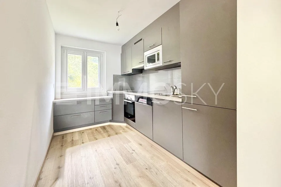 Rare opportunity: house with two charming apartments