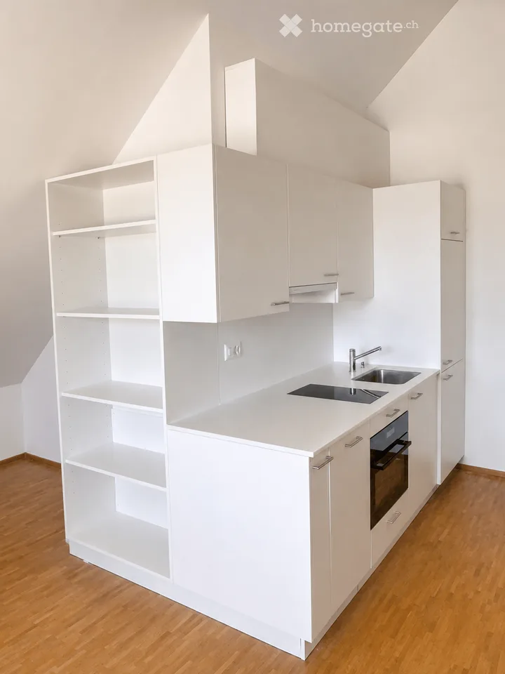 Appartement en mansarde ensoleillé d'une pièce à Fällanden