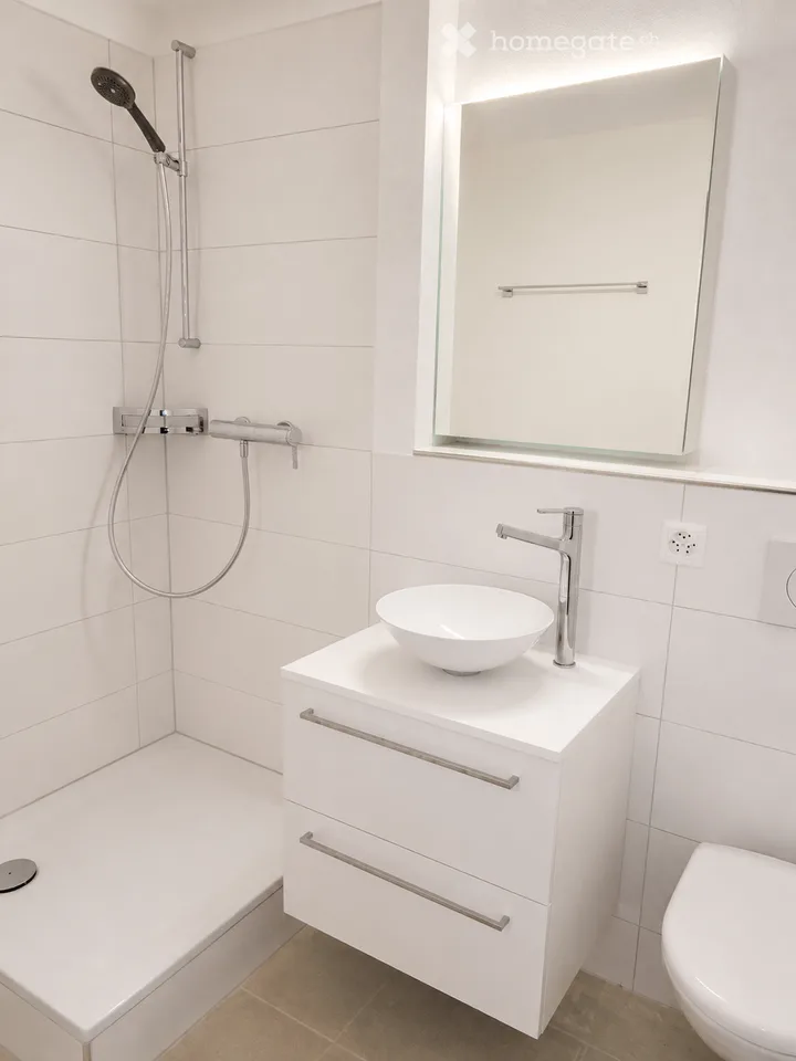 Appartement en mansarde ensoleillé d'une pièce à Fällanden