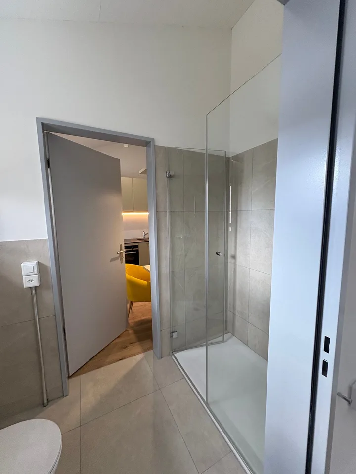 Charming studio with balcony and private washing machine in Brittnau