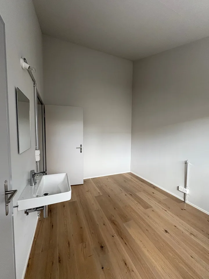 Charming studio with balcony and private washing machine in Brittnau