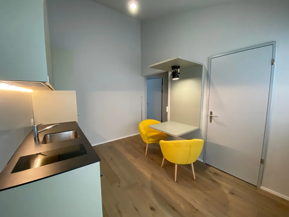 Charming studio with balcony and private washing machine in Brittnau