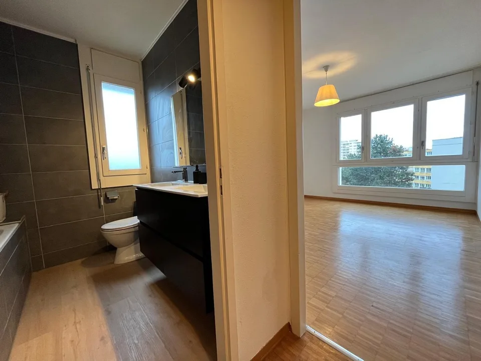 Appartement rénové de 4 chambres, 177 m² PPE, vue panoramique (Meyrin)