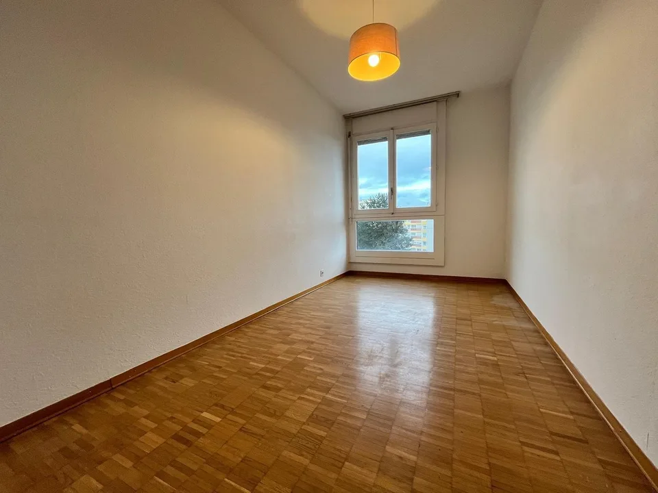 Appartement rénové de 4 chambres, 177 m² PPE, vue panoramique (Meyrin)