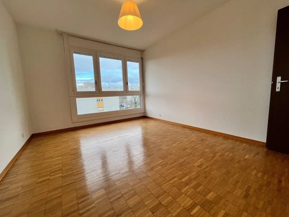 Appartement rénové de 4 chambres, 177 m² PPE, vue panoramique (Meyrin)