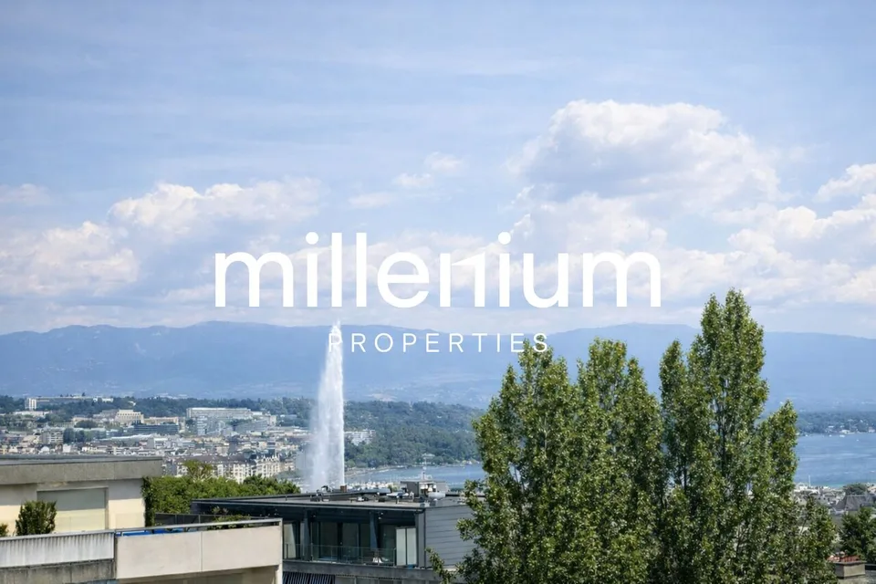 Superbe appartement de 5.5 pièces avec piscine - Malagnou