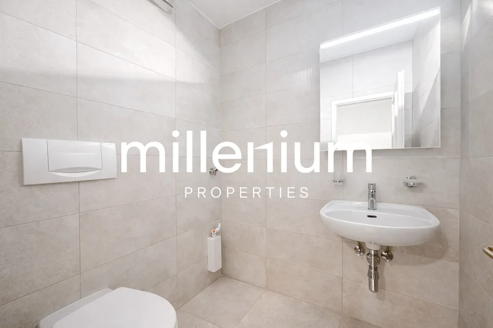 Exceptional Renovated 6-Room Duplex Penthouse in the Heart of Carouge