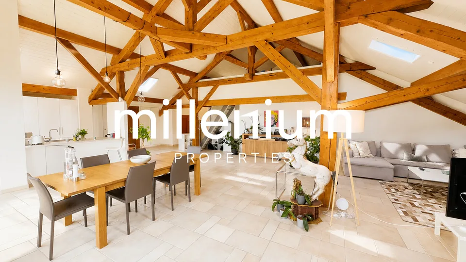 Spacious apartment in the heart of the Geneva campaign