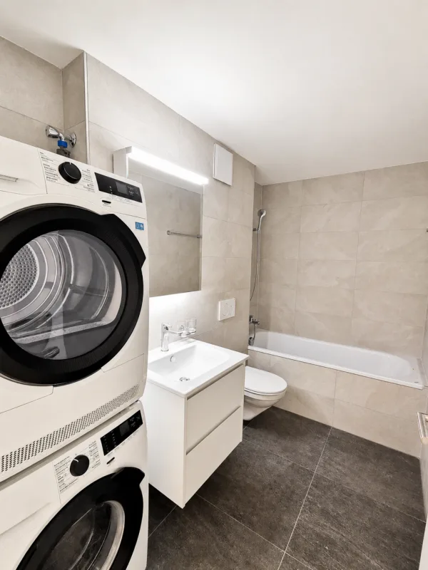 Nouvel appartement de 1,5 pièces rénové