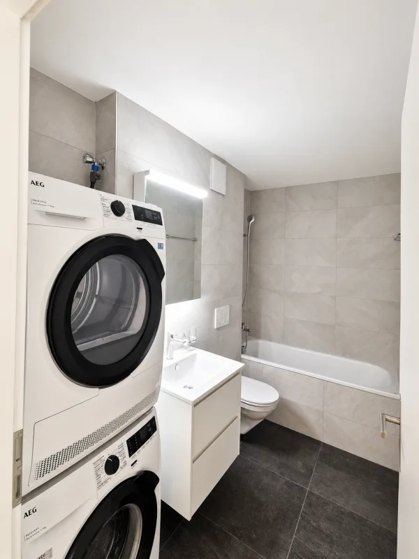 Nouvel appartement de 1,5 pièces rénové