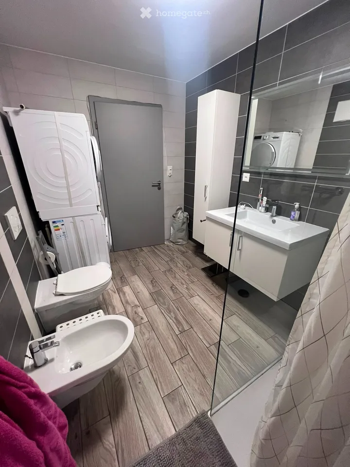 Apartment 4.5 rooms for rent