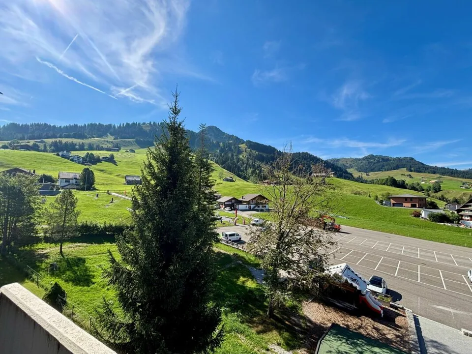 Appartement 3.5 pièces au centre d'Oberiberg !