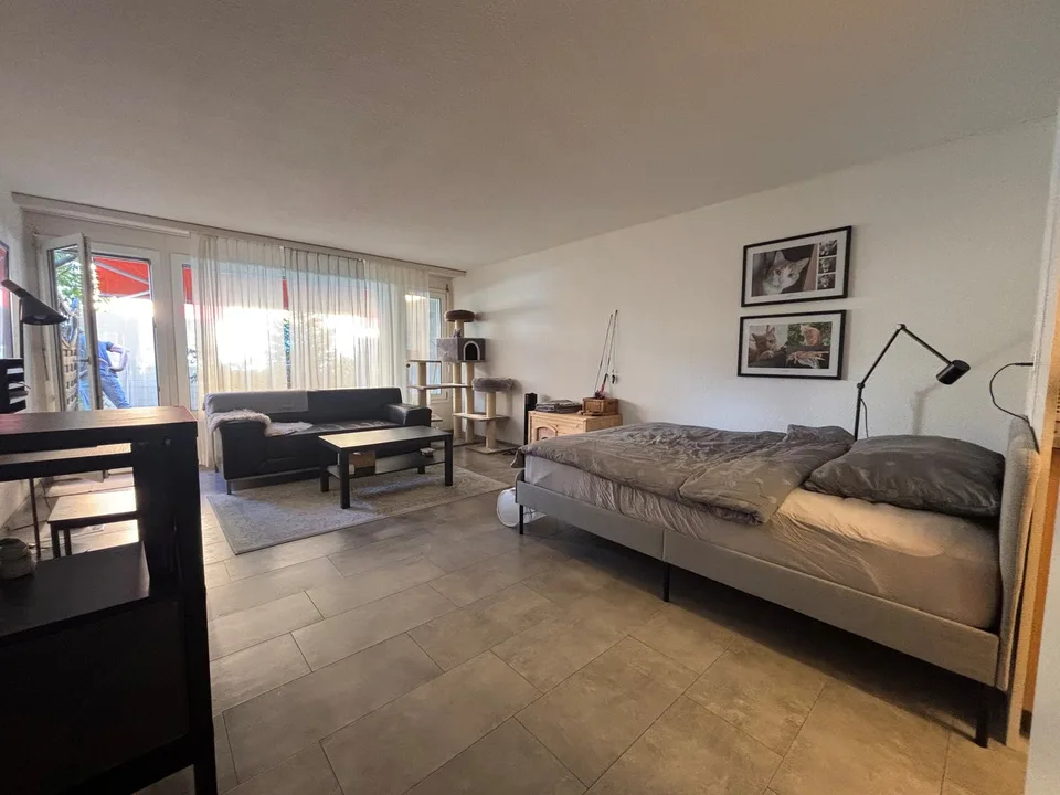 Cozy 1-room apartment with seating area in Ostermundigen