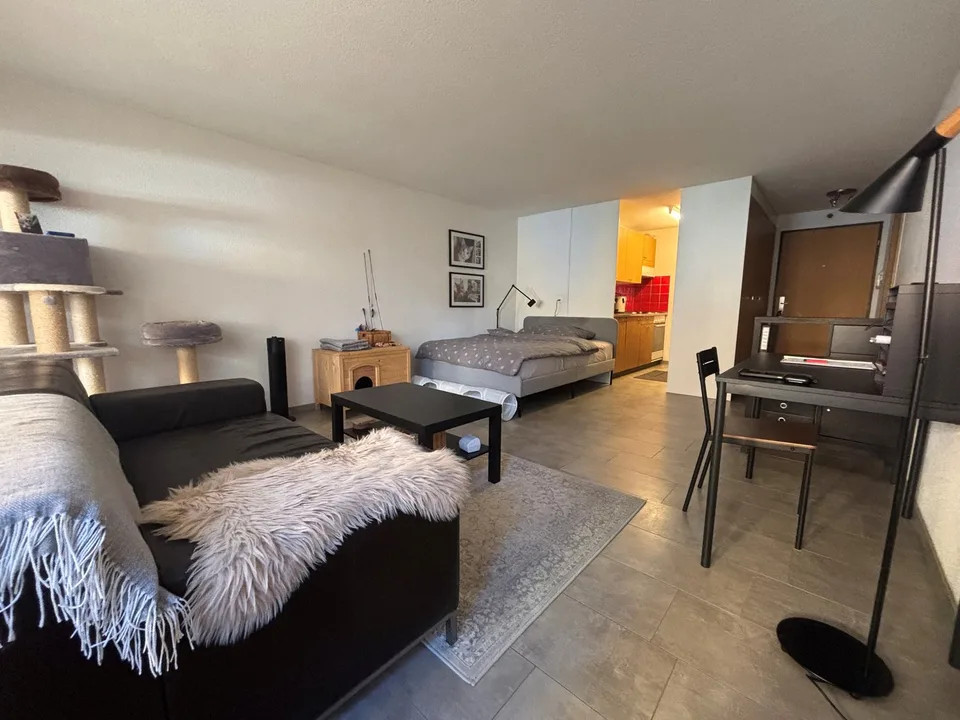 Cozy 1-room apartment with seating area in Ostermundigen