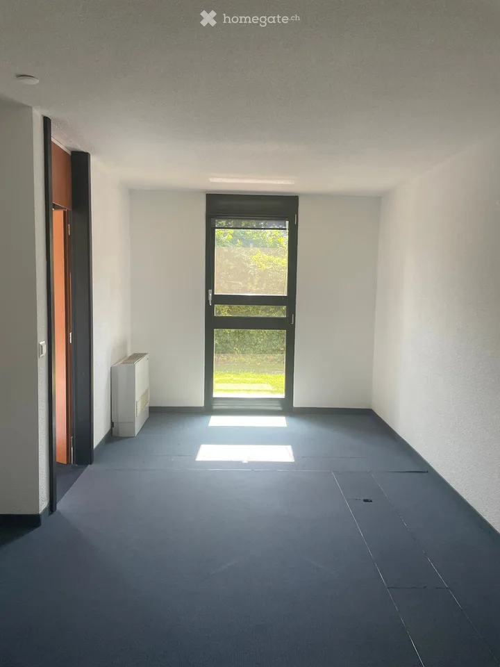 Office in Nyon