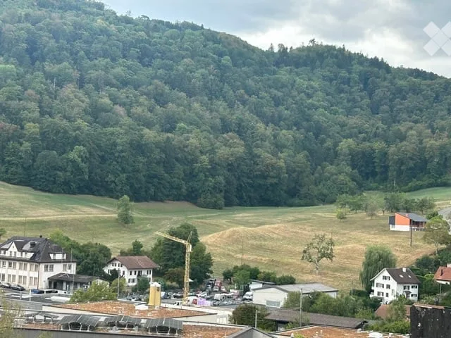 Wohnung in Läufelfingen
