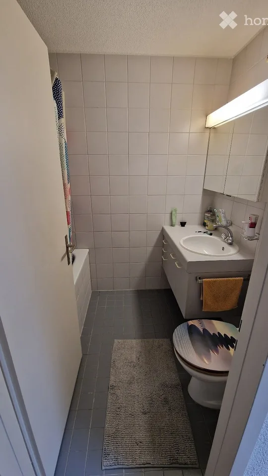 4 ½ Zimmer-Wohnung