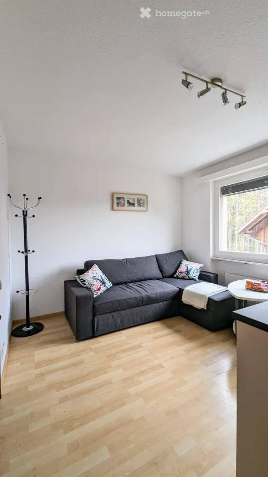 Vollmöblierte 1.5 Zimmer-Wohnung zu vermieten